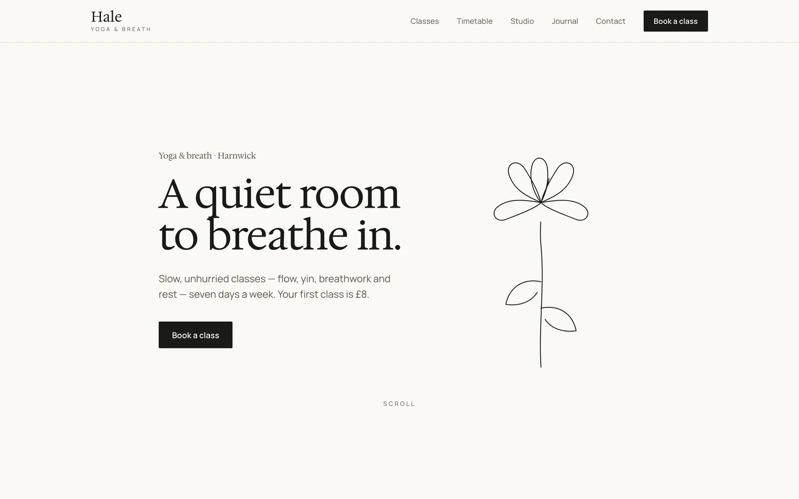 The Hale landing page at desktop width